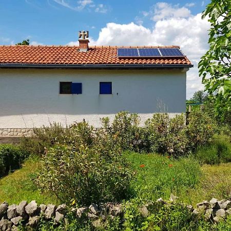 Ecohouse Oliveglia Villa Šilo Exterior foto